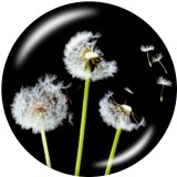 Painted metal 20mm snap buttons  Dandelion   Print