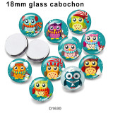 10pcs/lot  Cartoon  Owl  glass picture printing products of various sizes  Fridge magnet cabochon