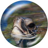 Painted metal 20mm snap buttons   Sea  turtle  Print Beach Ocean