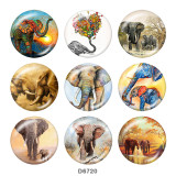 Painted metal 20mm snap buttons  Elephant   Print