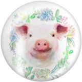 Painted metal 20mm snap buttons    Pig   Print