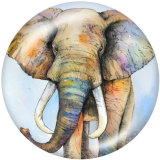 Painted metal 20mm snap buttons  Elephant   Print