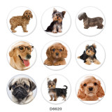 Painted metal 20mm snap buttons  Dog   Print