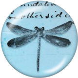 Painted metal Painted metal 20mm snap buttons  snap buttons  Dragonfly   Print