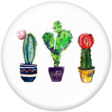 Painted metal Painted metal 20mm snap buttons  snap buttons  Cactus  Print