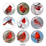 Painted metal Painted metal 20mm snap buttons  snap buttons   bird   Print