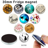 10pcs/lot  Cat  Horse  glass picture printing products of various sizes  Fridge magnet cabochon