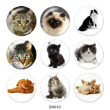 Painted metal 20mm snap buttons   Cat   Print