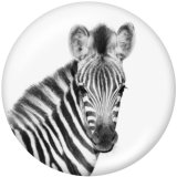 Painted metal 20mm snap buttons   Fox  Tiger   Print