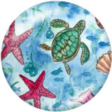 Painted metal 20mm snap buttons   sea  turtle   Print  Beach Ocean