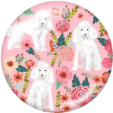 Painted metal Painted metal 20mm snap buttons  snap buttons  Cat  Dog  Print