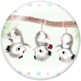 Painted metal 20mm snap buttons   Cat  birdr  Print