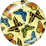 Painted metal 20mm snap buttons   Flower  Butterfly  Print