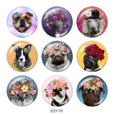 Painted metal 20mm snap buttons   Dog  Cat  Print