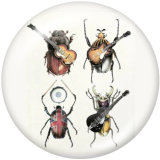 Painted metal 20mm snap buttons  band