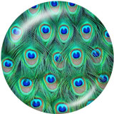 Painted metal 20mm snap buttons   Peacock feather   Print