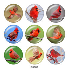 Painted metal 20mm snap buttons   bird  Print