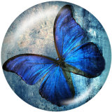 Painted metal 20mm snap buttons   Butterfly  Print