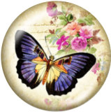 Painted metal 20mm snap buttons  butterfly Print