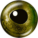 Painted metal 20mm snap buttons  eyes Print