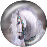 Painted metal 20mm snap buttons  horse   Print