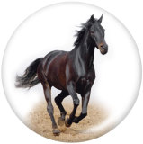 Painted metal 20mm snap buttons  horse Print