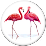 Painted metal 20mm snap buttons  Flamingo LOVE Print Beach Ocean
