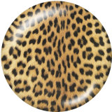Painted metal 20mm snap buttons   Leopard pattern  Print