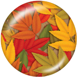 Painted metal 20mm snap buttons  maple leaves Print