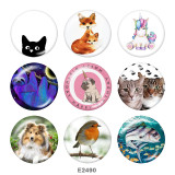 Painted metal 20mm snap buttons   Cat  Dog  Print