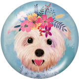 Painted metal 20mm snap buttons   Cat  Dog  Print