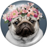 Painted metal 20mm snap buttons   Dog  Cat  Print