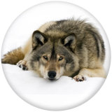 Painted metal 20mm snap buttons  wolf Print
