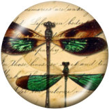 Painted metal 20mm snap buttons  dragonfly  Print