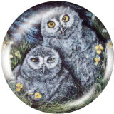 Painted metal 20mm snap buttons  owl Print
