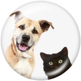 Painted metal 20mm snap buttons  Cats and dogs   Print