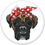 Painted metal 20mm snap buttons   Dog  Print