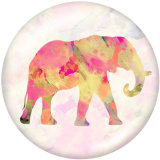 Painted metal 20mm snap buttons   Wolf  Elephant  Print
