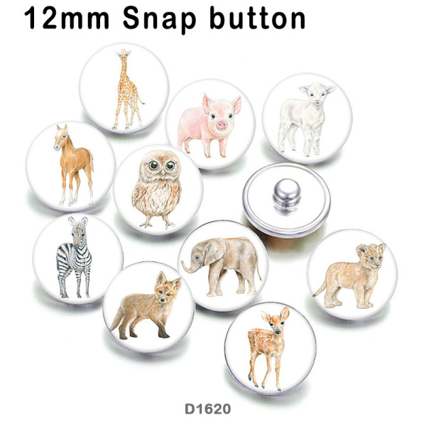 10pcs/lot   Elephant  Deer  Owl   glass picture printing products of various sizes  Fridge magnet cabochon