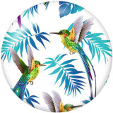 Painted metal 20mm snap buttons    Hummingbird   Print
