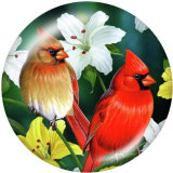 Painted metal 20mm snap buttons   Hummingbird   Print
