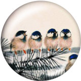 Painted metal 20mm snap buttons  bird Print