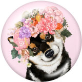 Painted metal 20mm snap buttons   Dog  Cat  Print