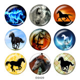 Painted metal 20mm snap buttons  horse  Print
