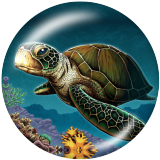 Painted metal 20mm snap buttons Beach Ocean sea turtle Print