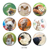 Painted metal 20mm snap buttons   Owl  rabbit  Print