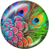 Painted metal 20mm snap buttons  Peacock feather Print