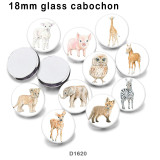 10pcs/lot   Elephant  Deer  Owl   glass picture printing products of various sizes  Fridge magnet cabochon