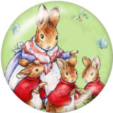 Painted metal 20mm snap buttons  rabbit Print
