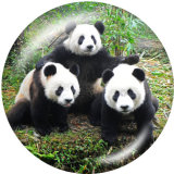 Painted metal 20mm snap buttons  panda  Print
